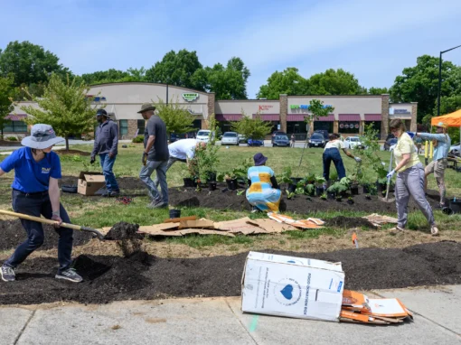Volunteers are planting and landscaping in a grassy area near stores. Several people are using tools and arranging plants, while others work on the ground. An orange tent is visible in the background.