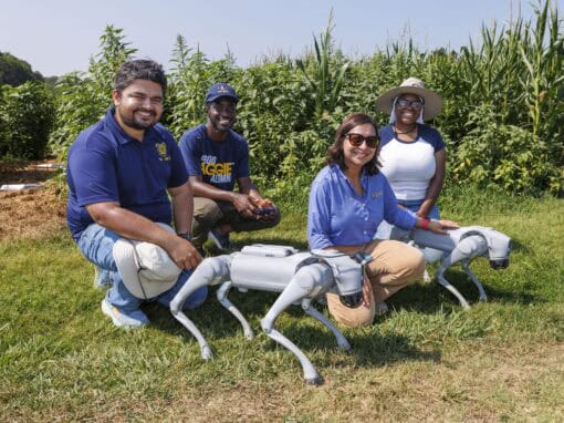 Robotic dogs working in a farm with four people during daytime.