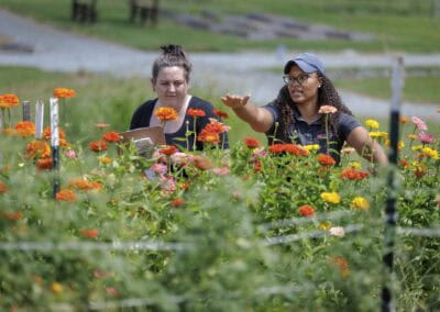 “Citizen Scientists” Join N.C. A&T Extension for Southeastern Pollinator Census