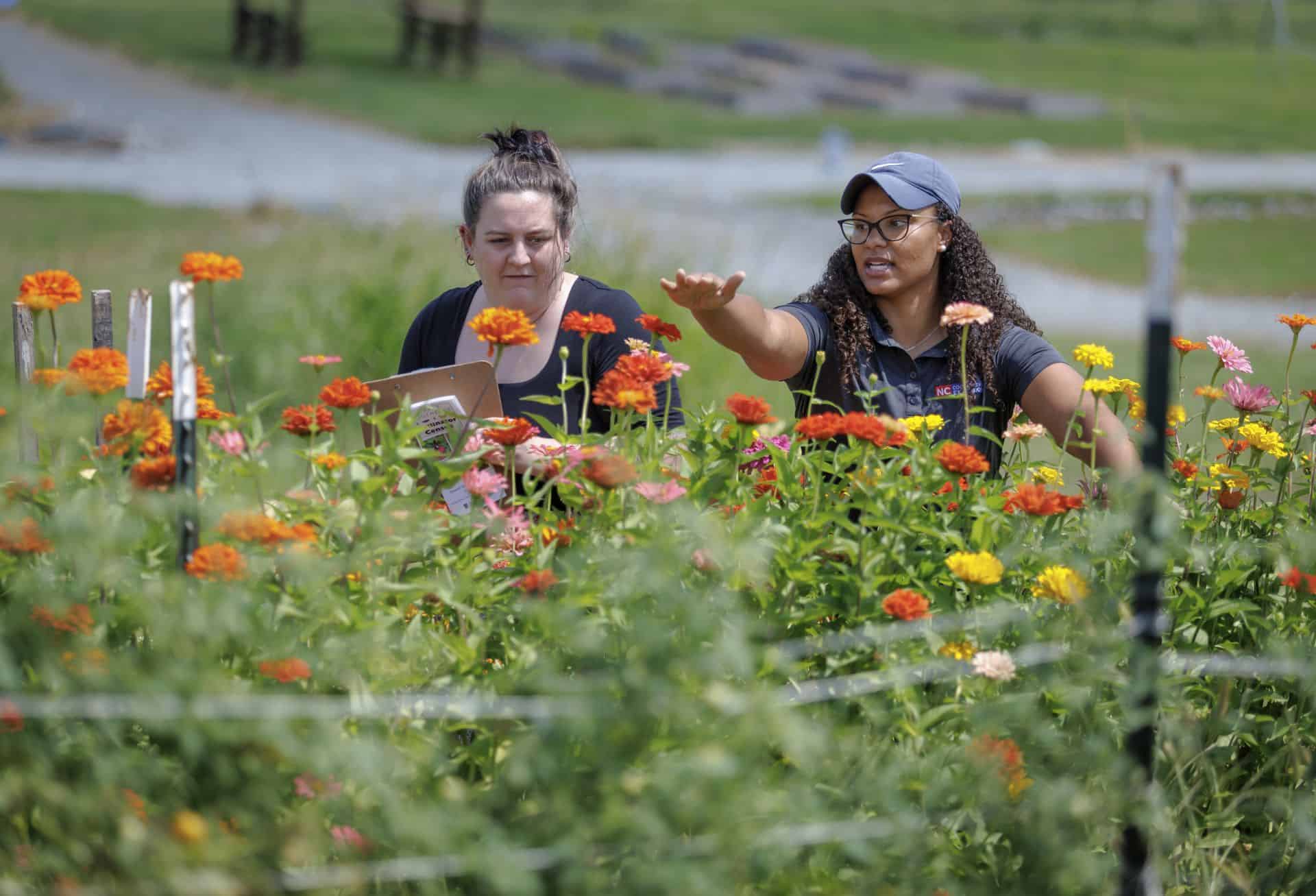 Two women gardening among colorful flowers in a lush green field.
