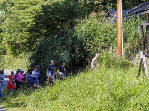 Group of people walking along a rural road near a farm sign and lush greenery.