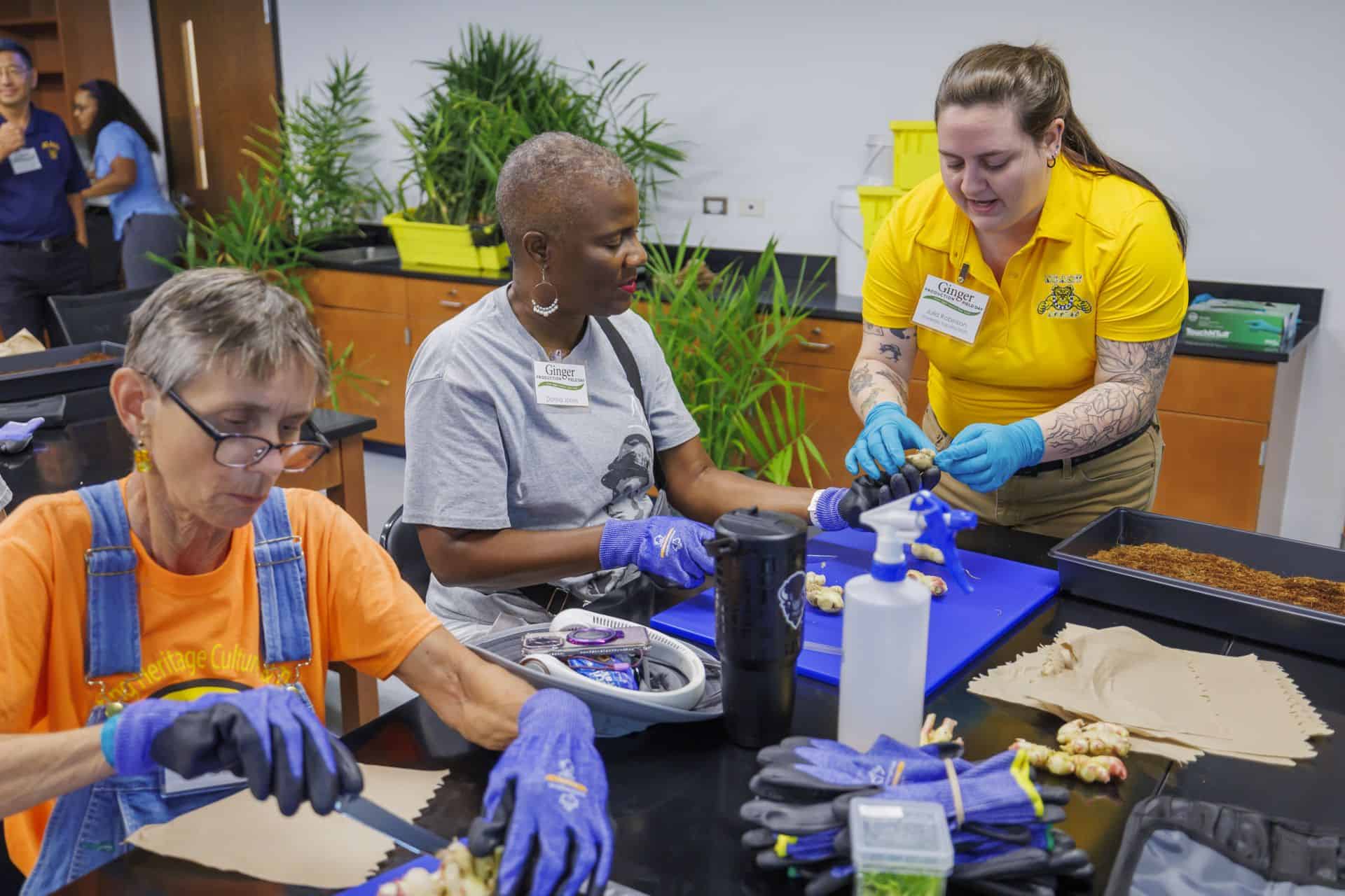 Researchers and a student examine ginger samples at a production field day.