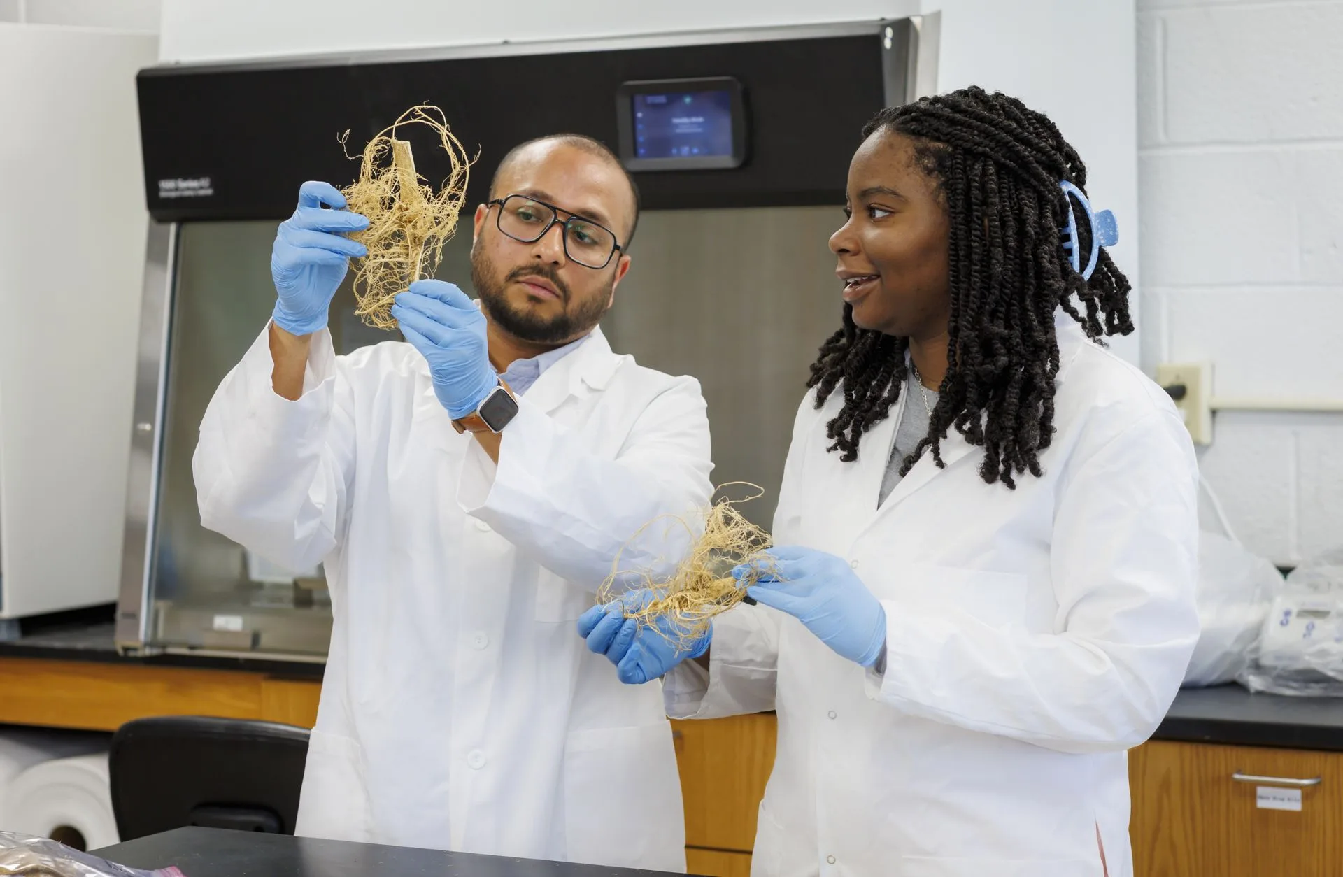 Arnab Bhowmik and Sydney Bryson examine hemp root samples in a laboratory